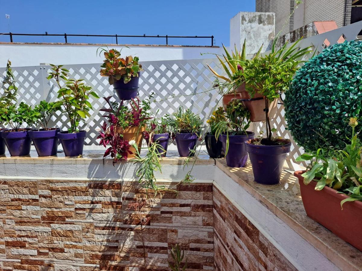 דירות סביליה Atico Duplex Marques De Reyes מראה חיצוני תמונה